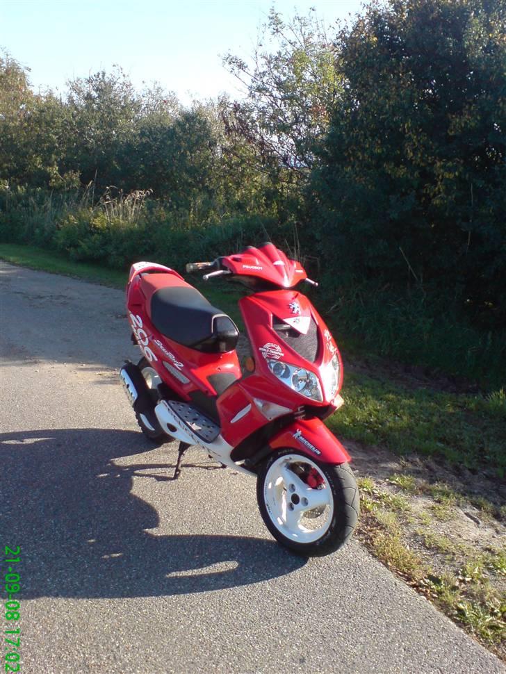 Peugeot SF 2 AC 206 WRC [SOLGT] billede 6