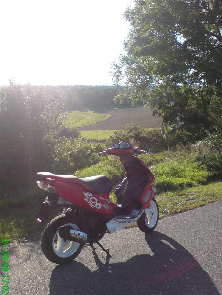 Peugeot SF 2 AC 206 WRC [SOLGT] billede 7