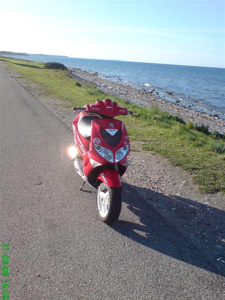 Peugeot SF 2 AC 206 WRC [SOLGT] billede 9