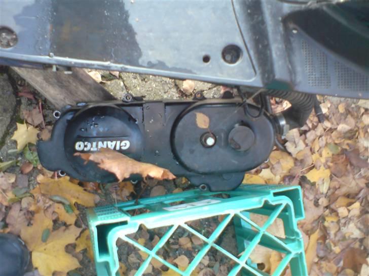 Giantco Sprint (solgt) billede 5