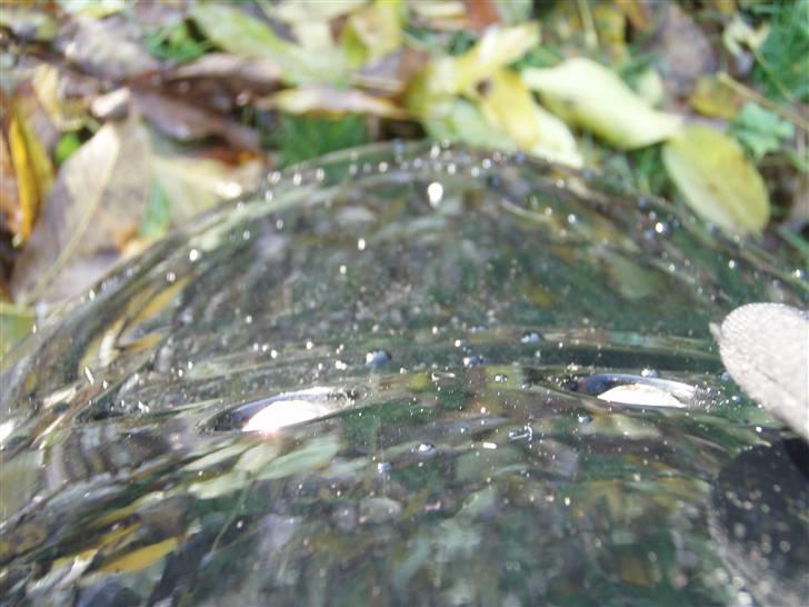 PGO comet solgt billede 5