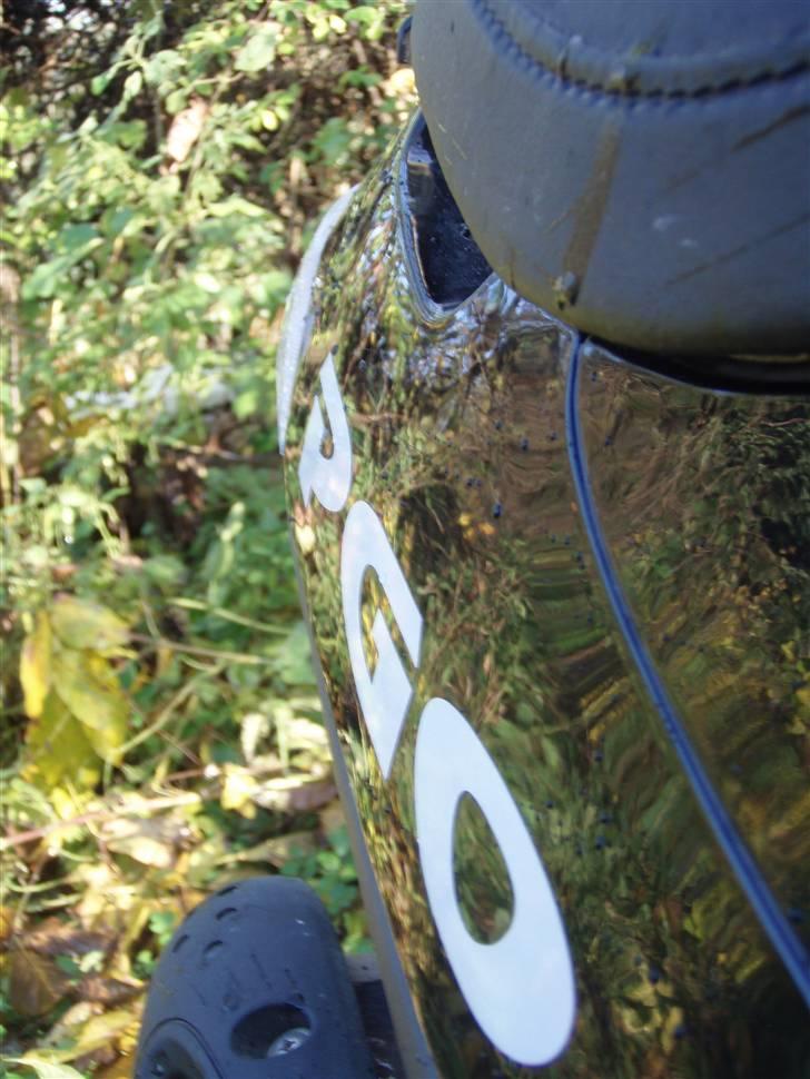 PGO comet solgt billede 6