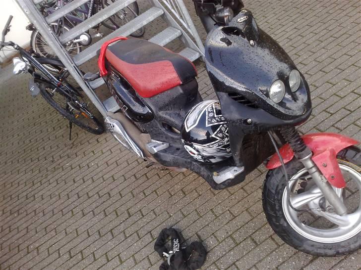 PGO pmx sport , polini !  billede 11