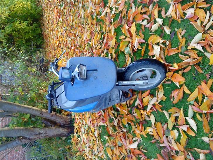 Giantco Sprint billede 1