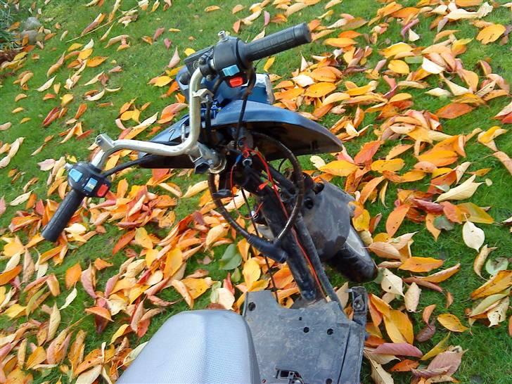 Giantco Sprint billede 8