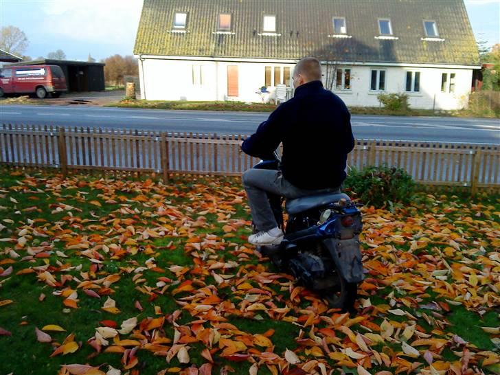 Giantco Sprint billede 10