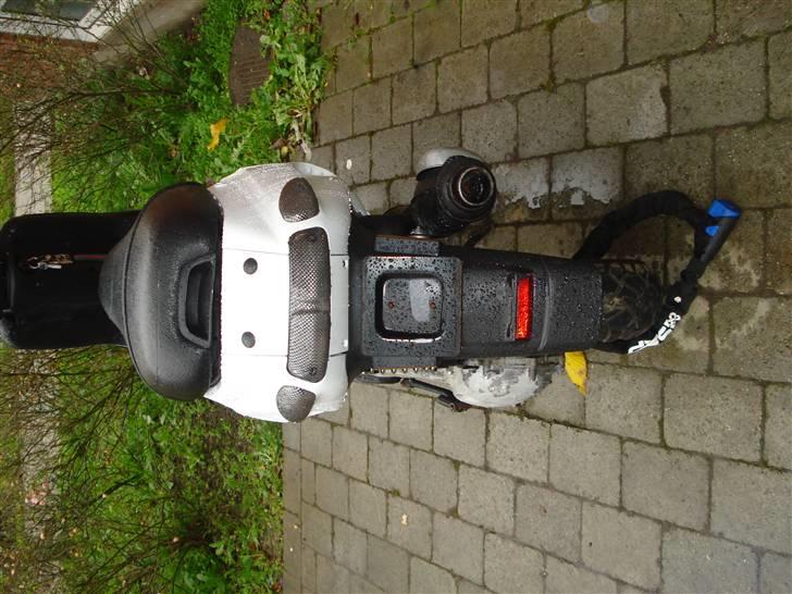 Piaggio typhoon AC   >>>solgt<<< - før ombygning billede 4