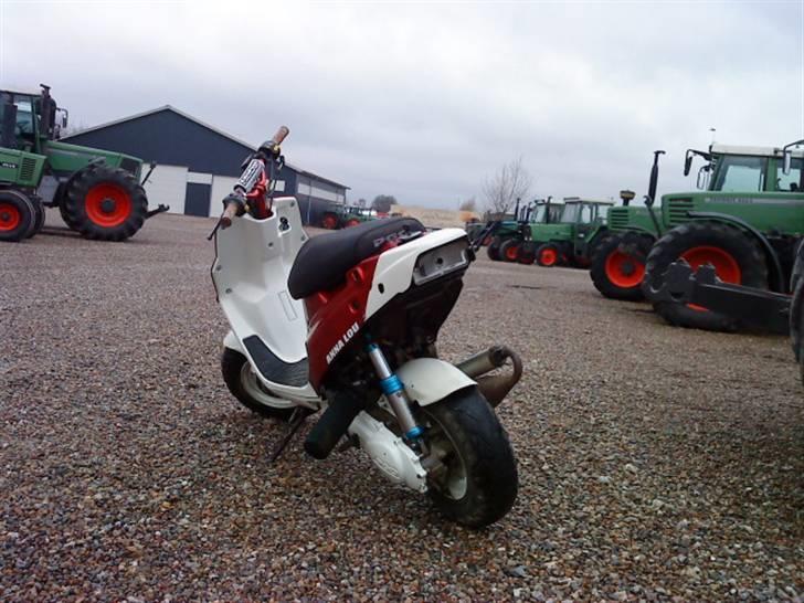 PGO Hot 50 <<ANNA LOU>> billede 4