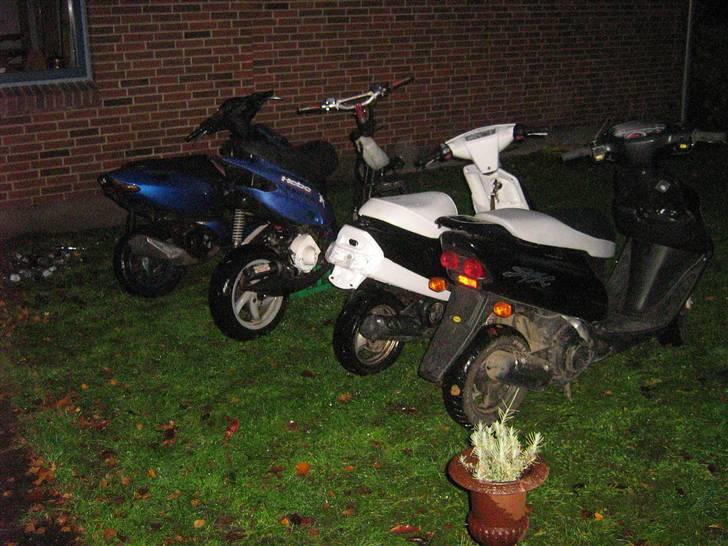 Yamaha Jog Fs - Drengene samlet hos mig :P billede 5