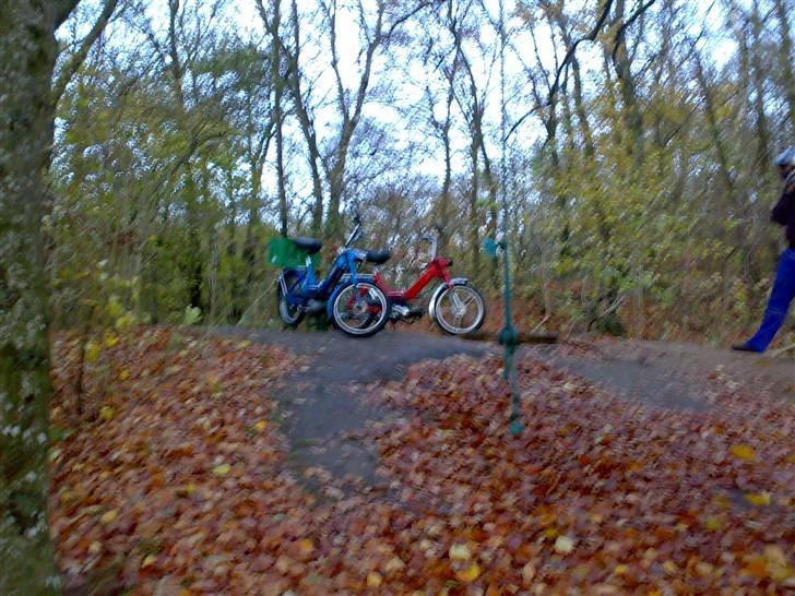 Puch Maxi SOLGT billede 9