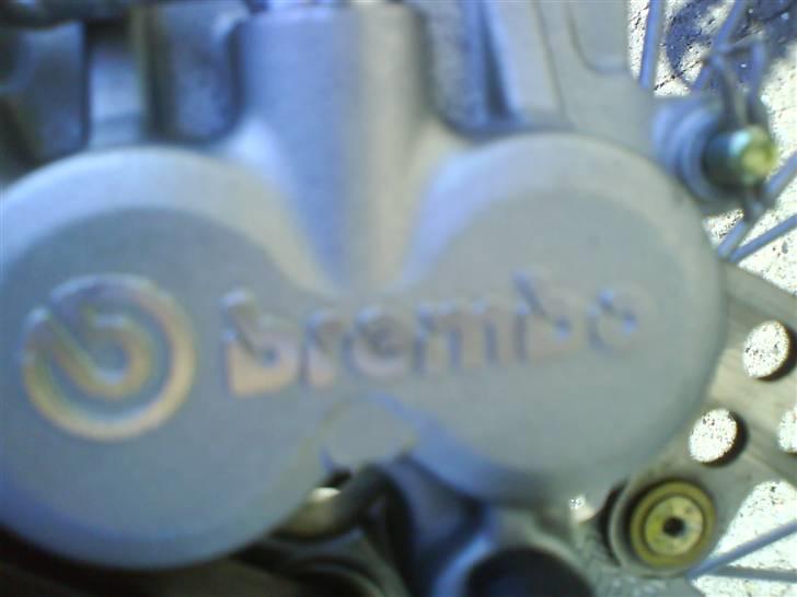 TM 125ccm. solgt billede 11