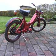 Puch maxi ( SOLGT)