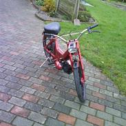 Puch maxi ( SOLGT)