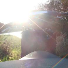 Aprilia Rally *Stage6* SOLGT!