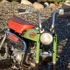 Honda Z50J Monkey SOLGT