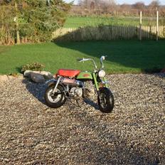 Honda Z50J Monkey SOLGT