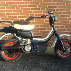 Suzuki FZ50     SOLGT