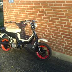 Suzuki FZ50     SOLGT