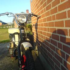 Suzuki FZ50     SOLGT