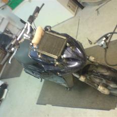 PGO HotRox - LCDD(Hugget op)