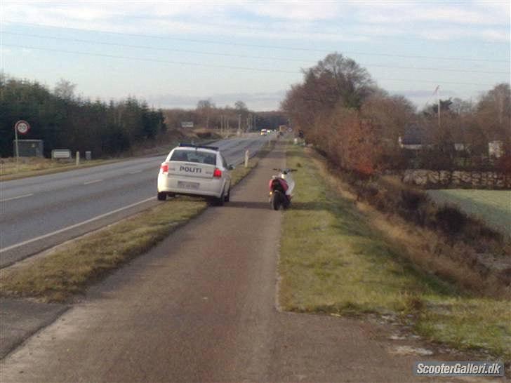 CPI big/oliver billede 1