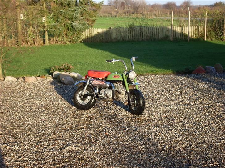 Honda Z50J Monkey SOLGT billede 3