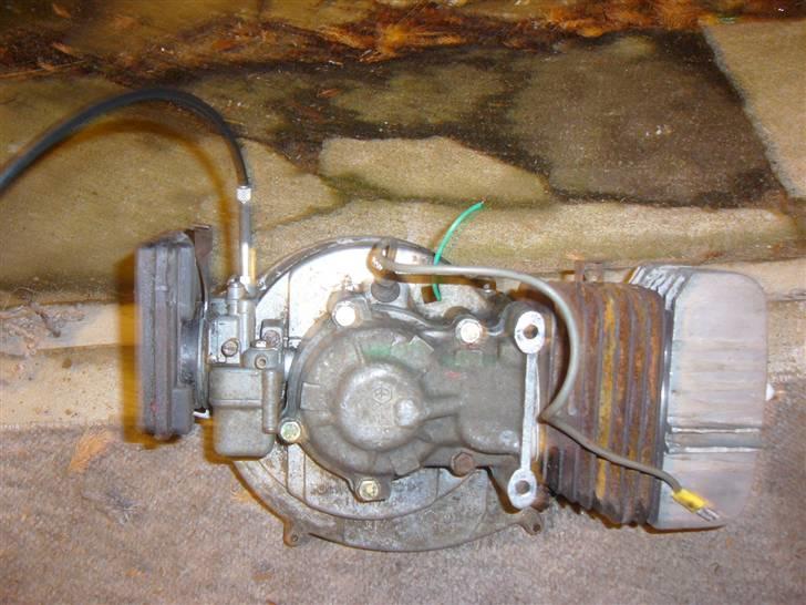 Vespa caio billede 3