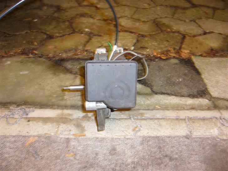 Vespa caio billede 4