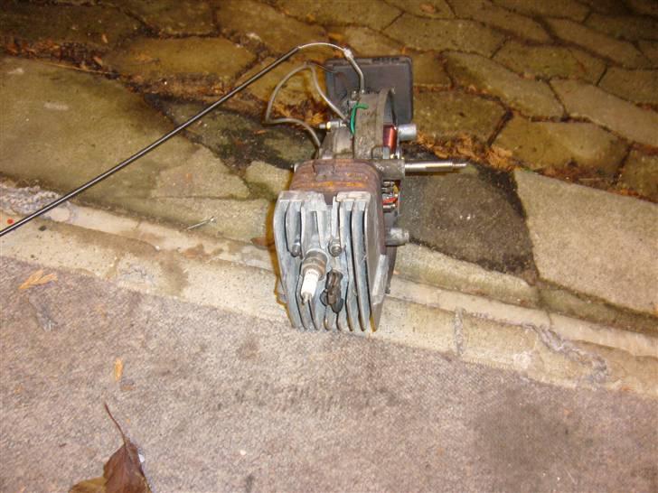 Vespa caio billede 5