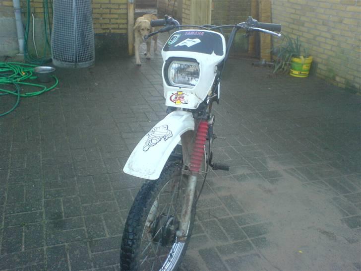 Yamaha Sting (Solgt) billede 2