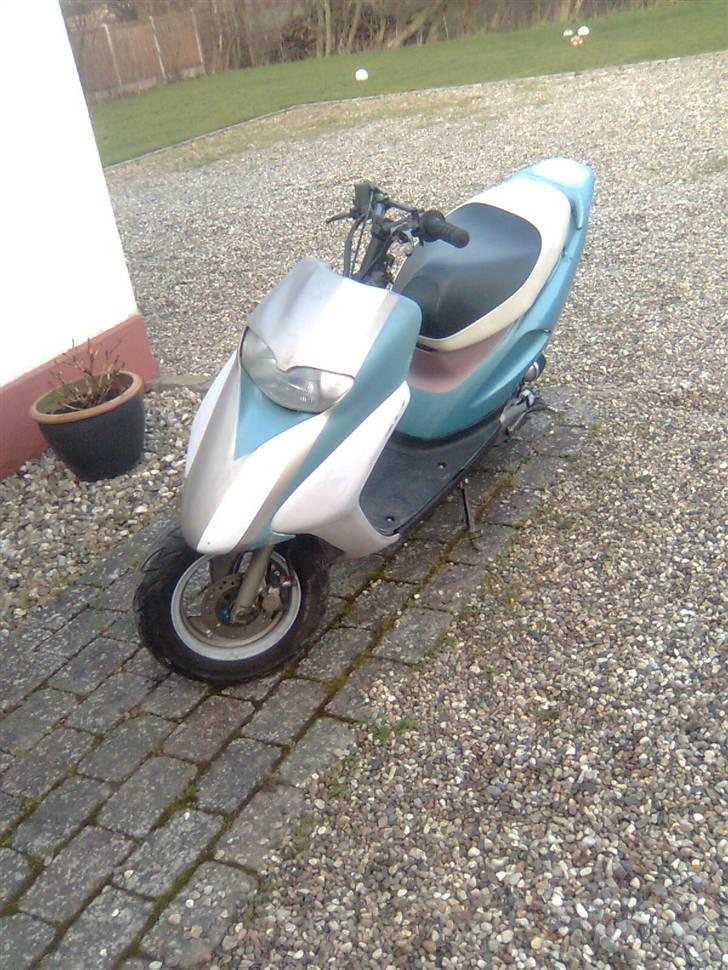 Honda SFX //Byttet til Hot 50// billede 1