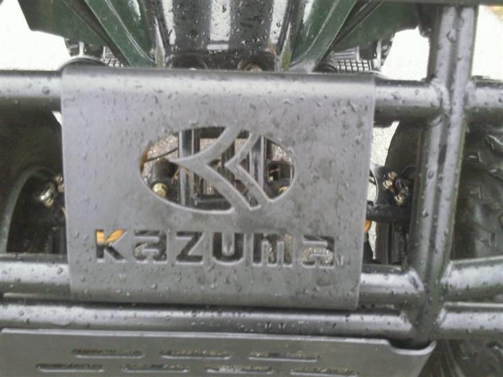 Kazuma Dingo billede 7