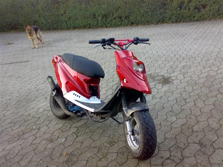 PGO Hot 50 solgt billede 1