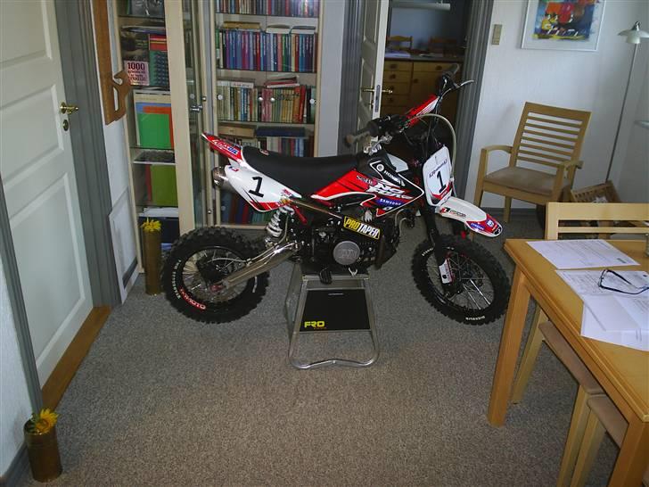 MiniBike demon x  TILSALG !!! billede 17