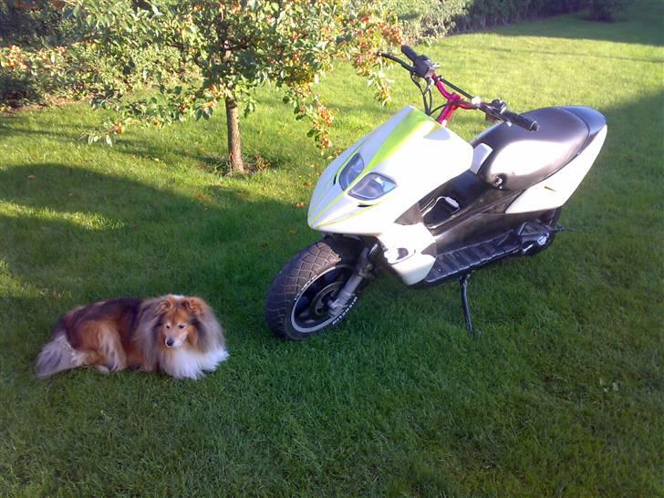 Benelli k2 BYTTET billede 3