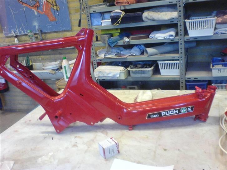 Puch Maxi k solgt billede 3