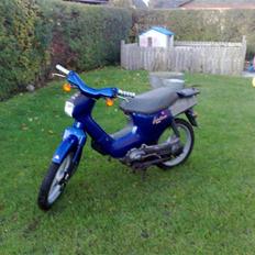 Honda wallaroo (Solgt) 