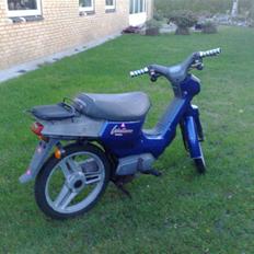 Honda wallaroo (Solgt) 