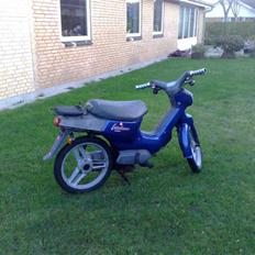 Honda wallaroo (Solgt) 