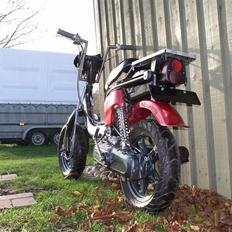 Suzuki Fz 50 Ac TT Speciel KØB DEN