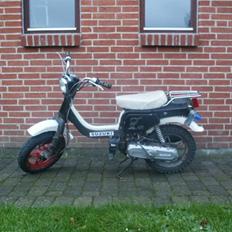 Suzuki FZ50 $SOLGT$