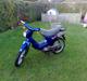 Honda wallaroo (Solgt) 