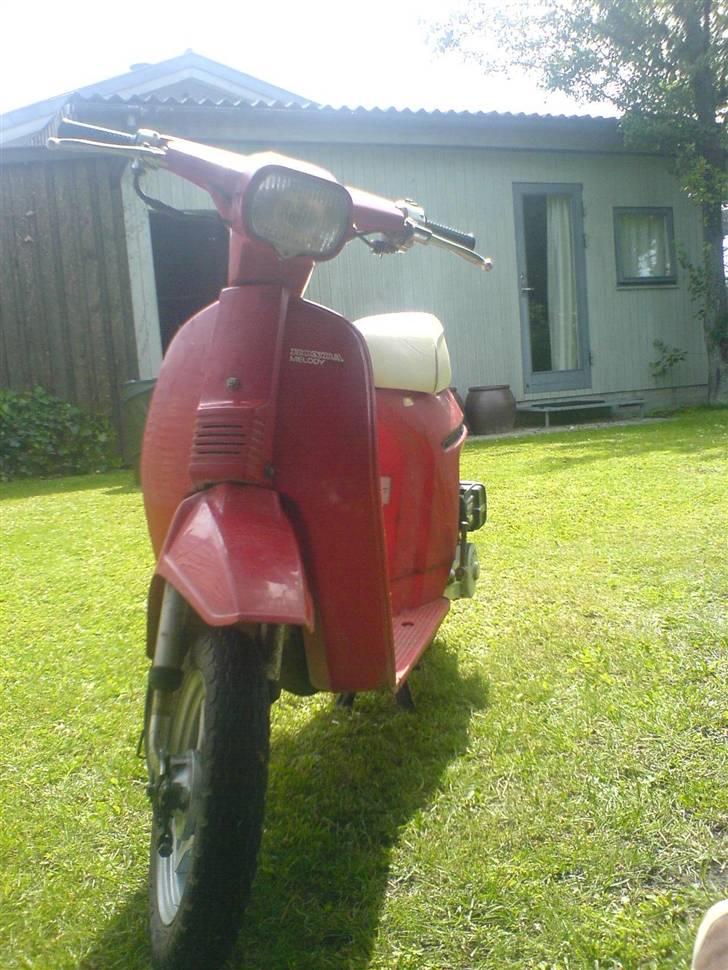 Honda Melody Mini billede 1