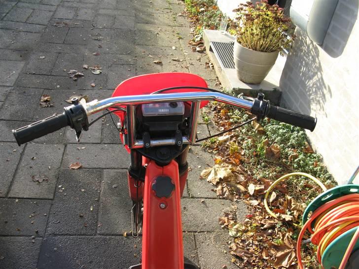 Yamaha SG50 Sting billede 5