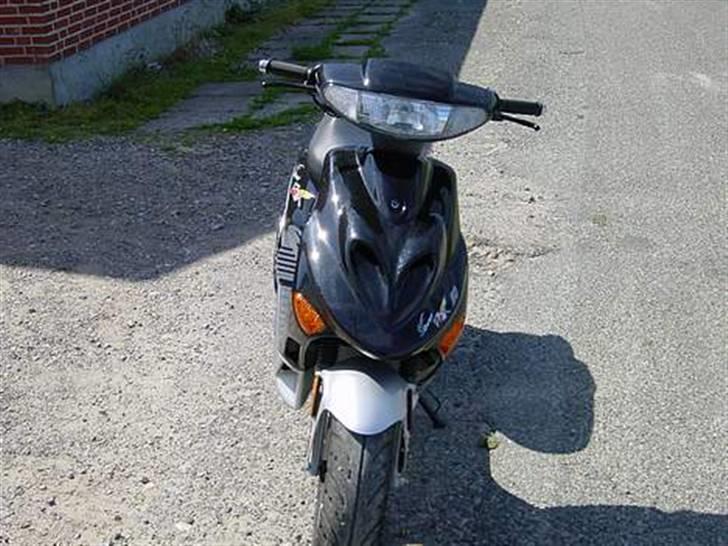 Adly silverfox billede 3