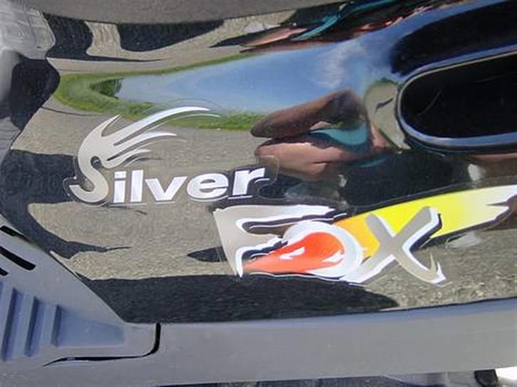 Adly silverfox billede 4