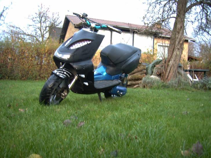 Aprilia Rally / SR  byttet billede 4