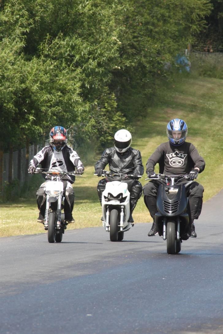 Aprilia Sonic Pro Race 2 Død billede 1