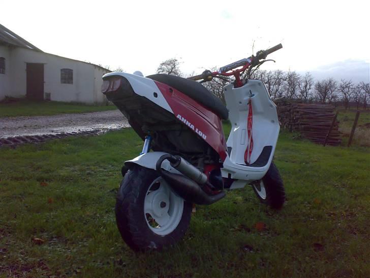 PGO Hot 50 <<ANNA LOU>> billede 9