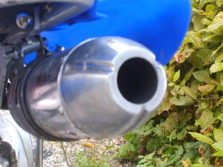 MiniBike kina solgt billede 6